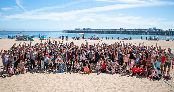 beach-company-picnic